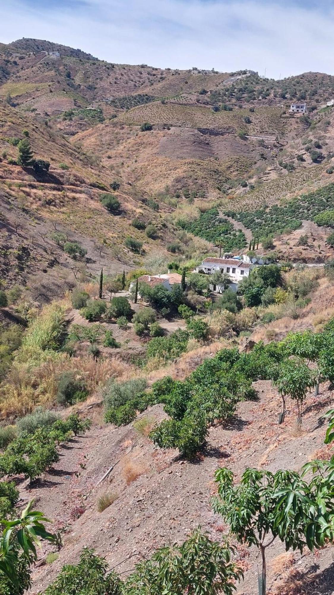 Cortijo Lagar De Luisa Guest House Borge Exterior photo