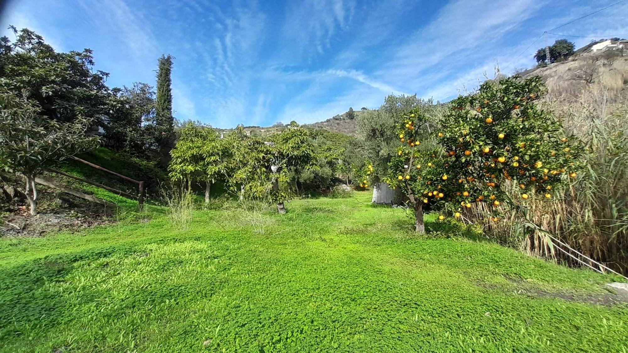 Cortijo Lagar De Luisa Guest House Borge Exterior photo