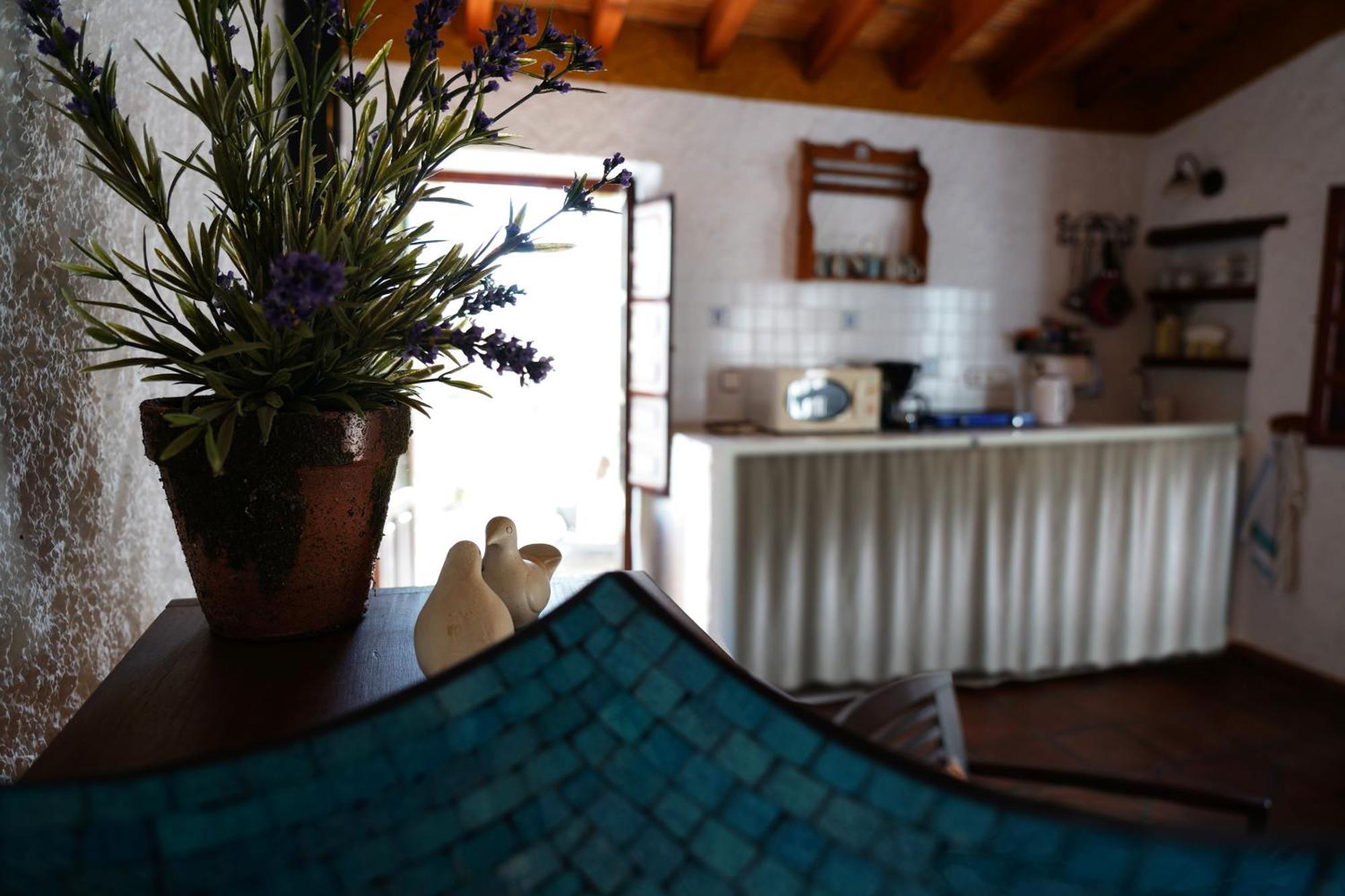 Cortijo Lagar De Luisa Guest House Borge Exterior photo