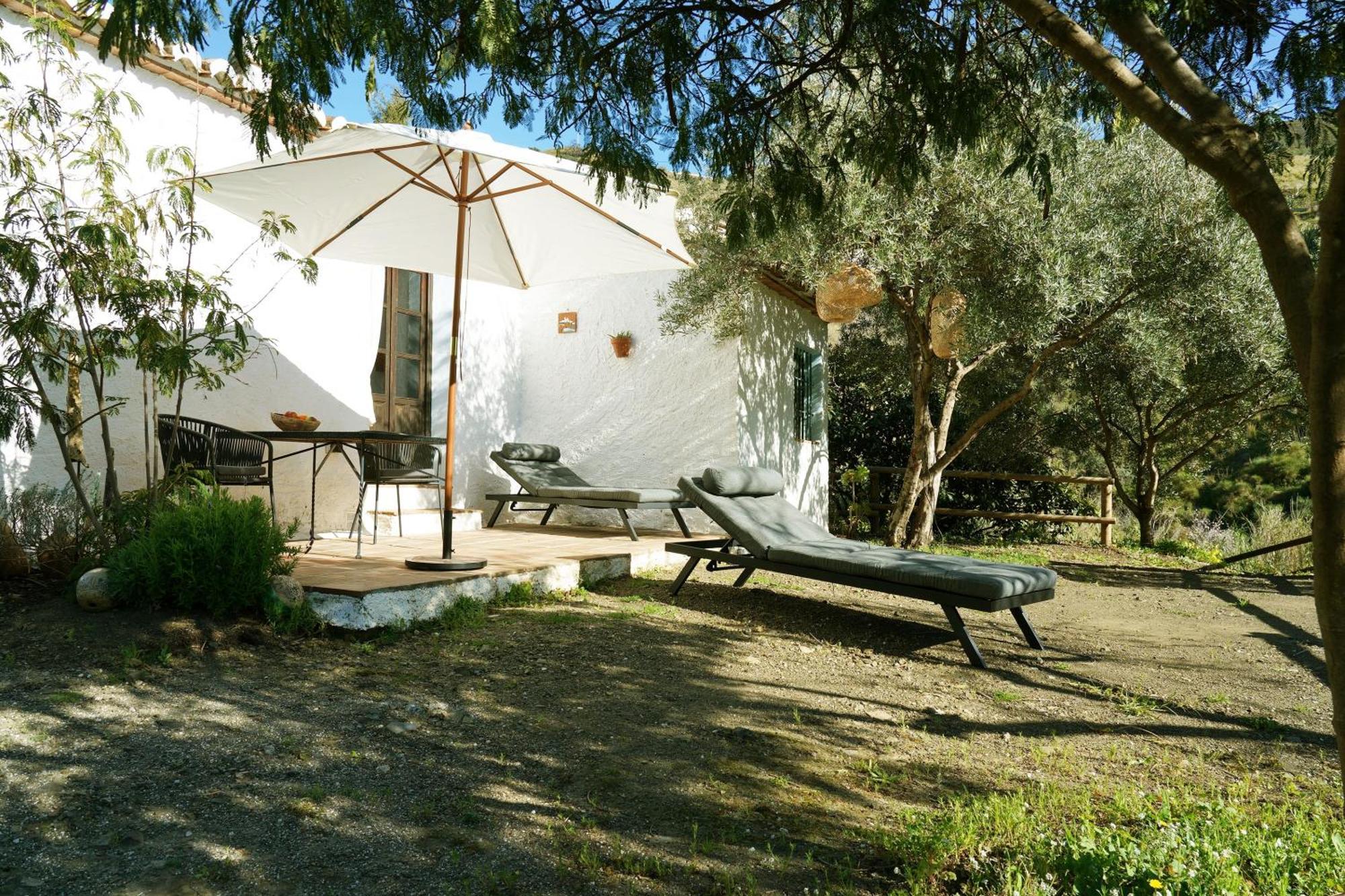 Cortijo Lagar De Luisa Guest House Borge Exterior photo