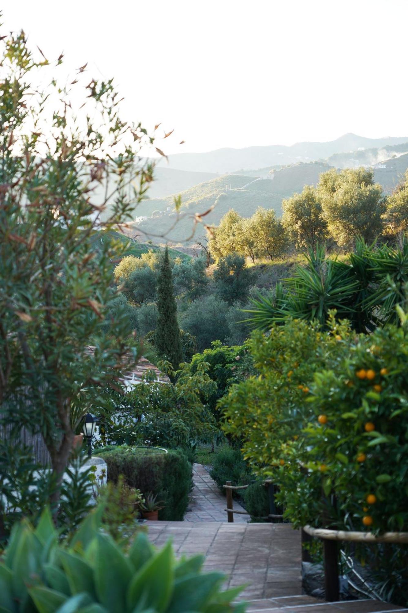 Cortijo Lagar De Luisa Guest House Borge Exterior photo