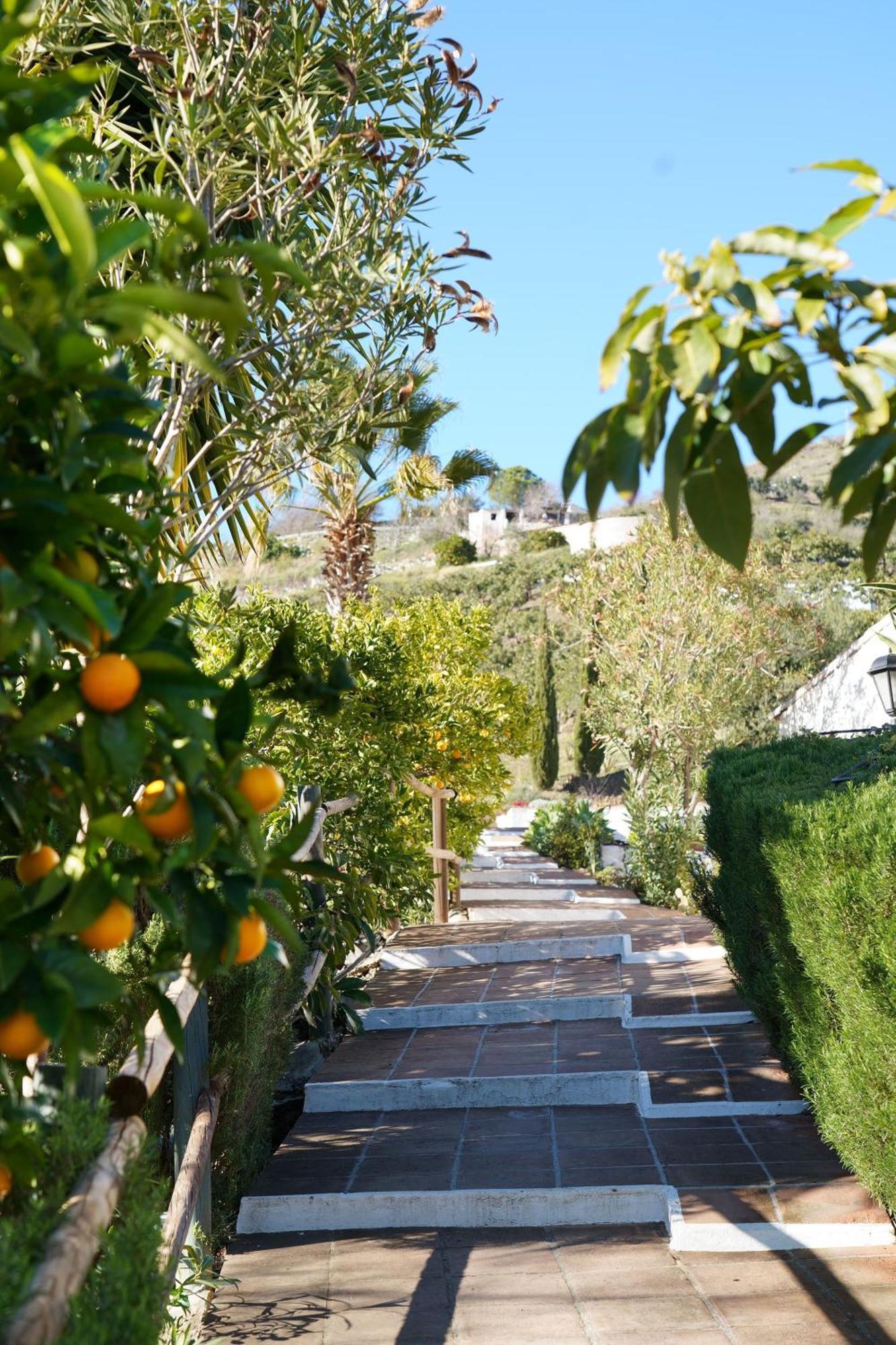 Cortijo Lagar De Luisa Guest House Borge Exterior photo